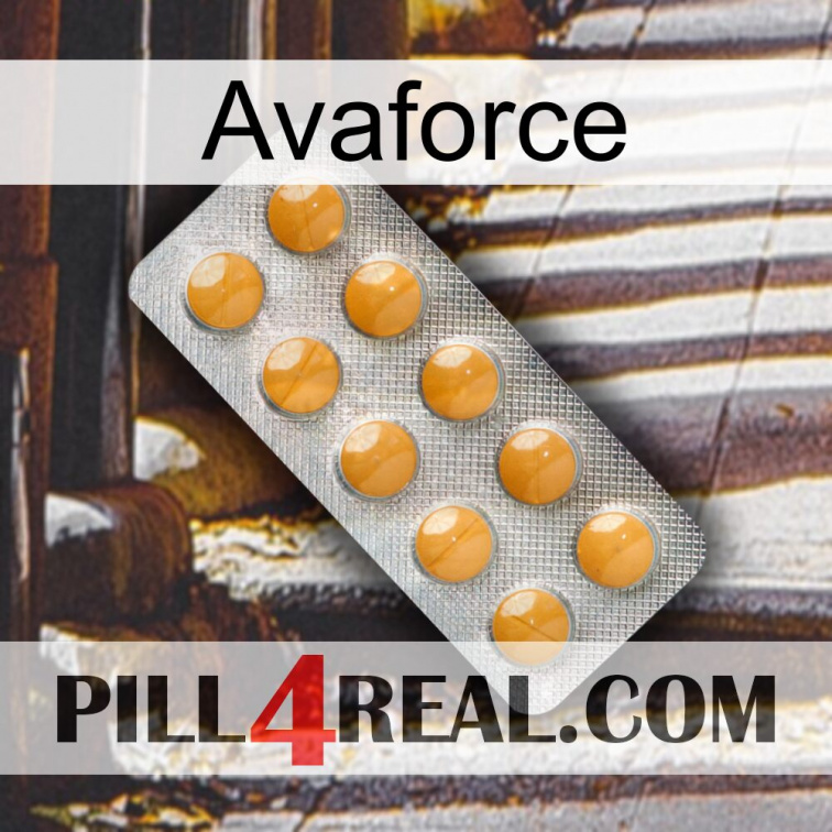 Avaforce levitra1